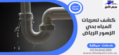 كشف تسربات المياه بحي الزهور الرياض